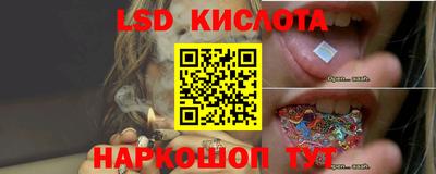 jwh Будённовск