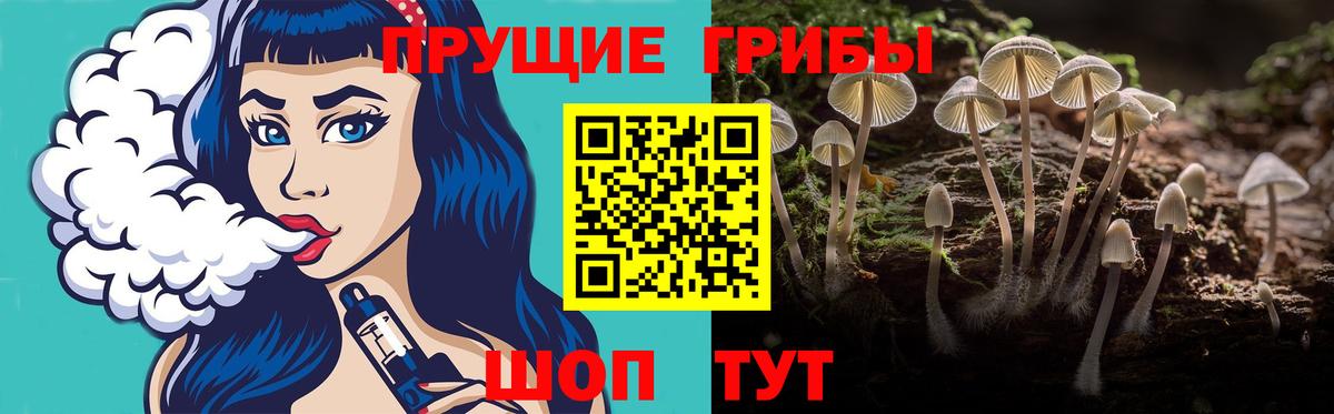 Таганрог  где найти наркотики  Вход с VPN  Псилоцибиновые грибы мицелий 